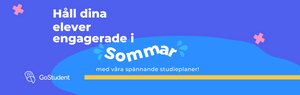 Tutor Academy Sommarprogram